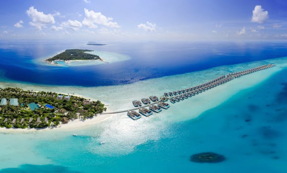 Top Resorts in the Maldives for Snorkeling Adventures